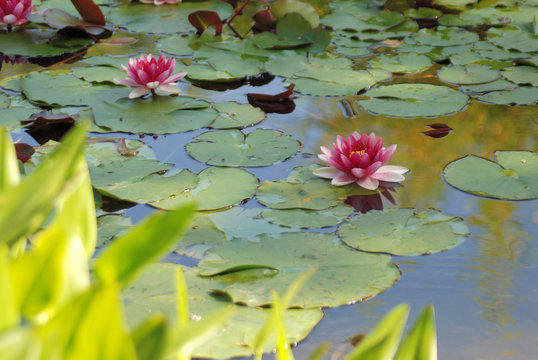 幸运飞艇送彩金平台彩票体验
