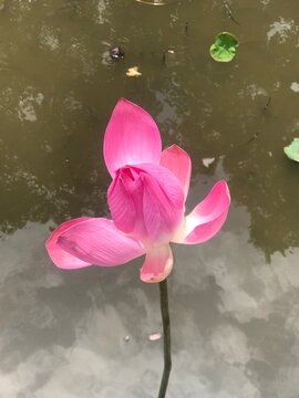 彩票中奖策略